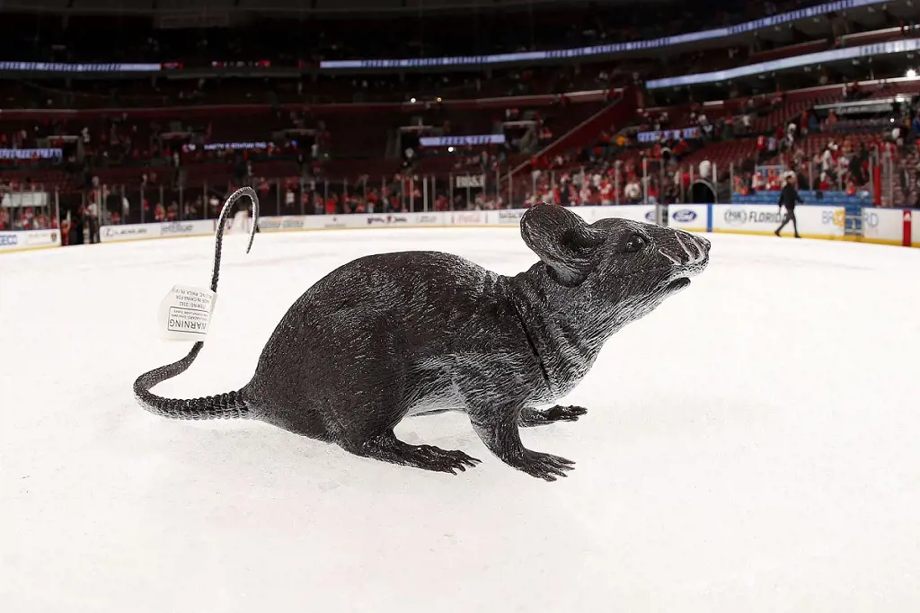 Toy thrown on the ice after the Florida Panthers beat the Carolina Hurricanes 5-2 at the BB&T Center on April 9, 2016